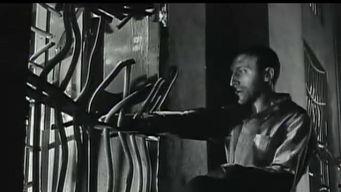 birdman电影在线观看,电影在线观看,探寻好莱坞明星的华丽蜕变 第3张 birdman电影在线观看,电影在线观看,探寻好莱坞明星的华丽蜕变 第3张